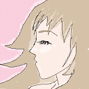255.png