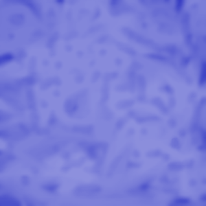 443.png