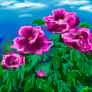 495.png 495.png