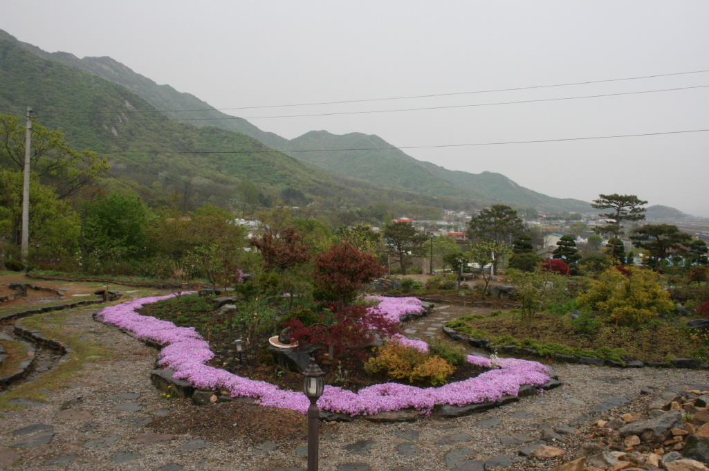 일괄편집_IMG_0733.JPG