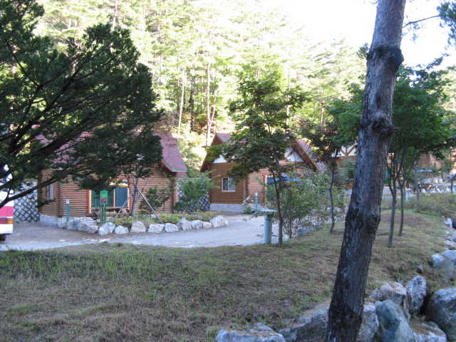2008.9.2 .Mt.Taebeak 124.jpg 2008.9.2 .Mt.Taebeak 124.jpg