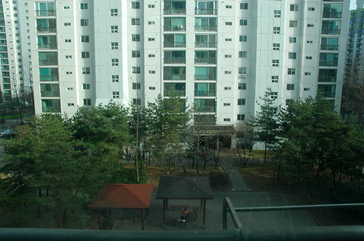 DSC_0176.jpg DSC_0176.jpg