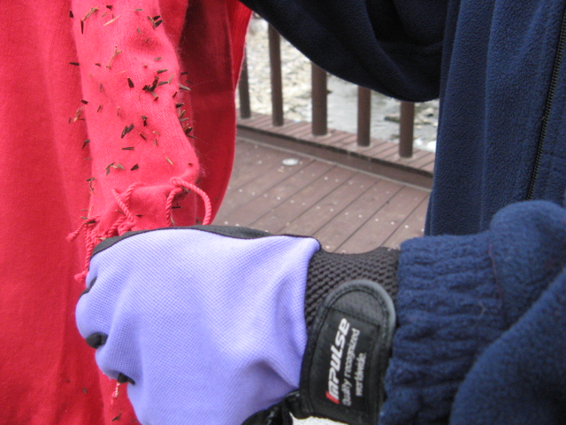 2008.11(kang wondo) 021.jpg
