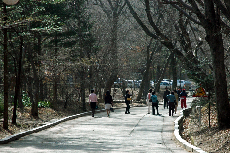DSC_0111.jpg DSC_0111.jpg
