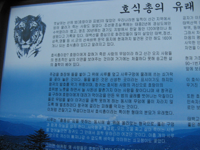 2008.11(kang wondo) 139.jpg