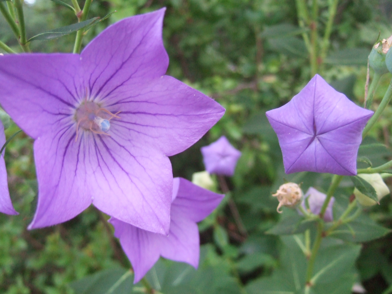 DSCF2557.JPG