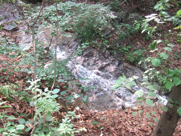 summerDSCF6363.JPG