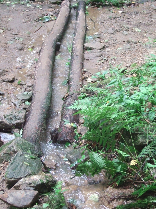 summerDSCF6369.JPG