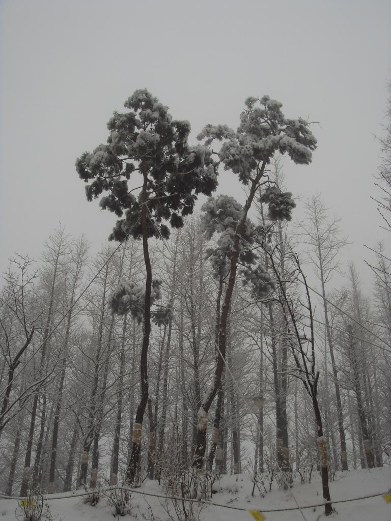 눈온날 012.jpg
