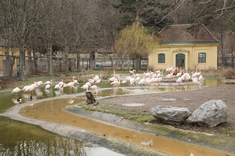 zoo_4400.JPG