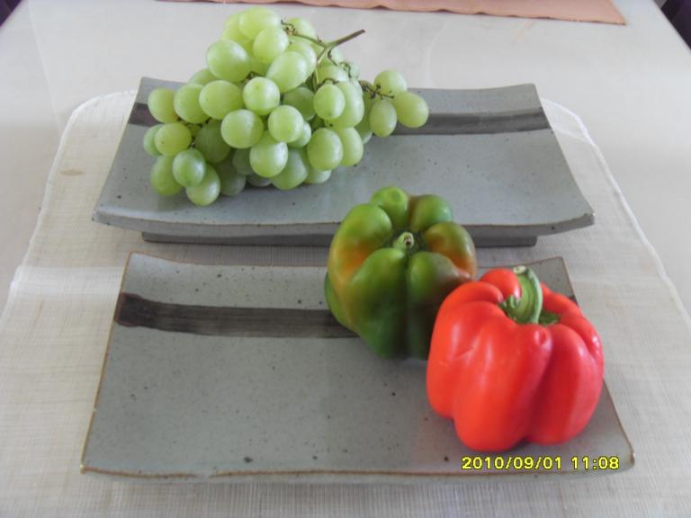 SDC14075.JPG