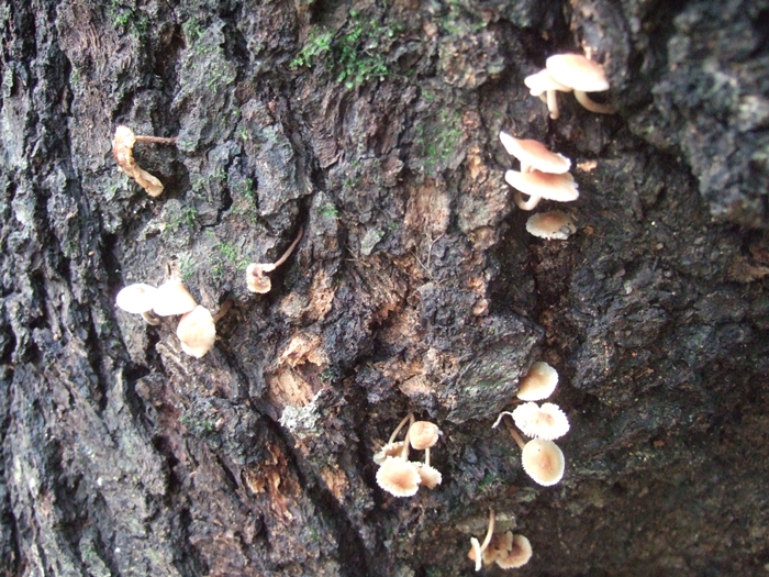 summerDSCF6372.JPG