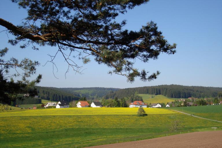 unterkirnach 011_copy.jpg