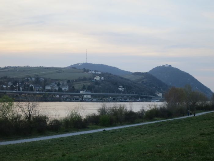 Donauinsel 1.jpg