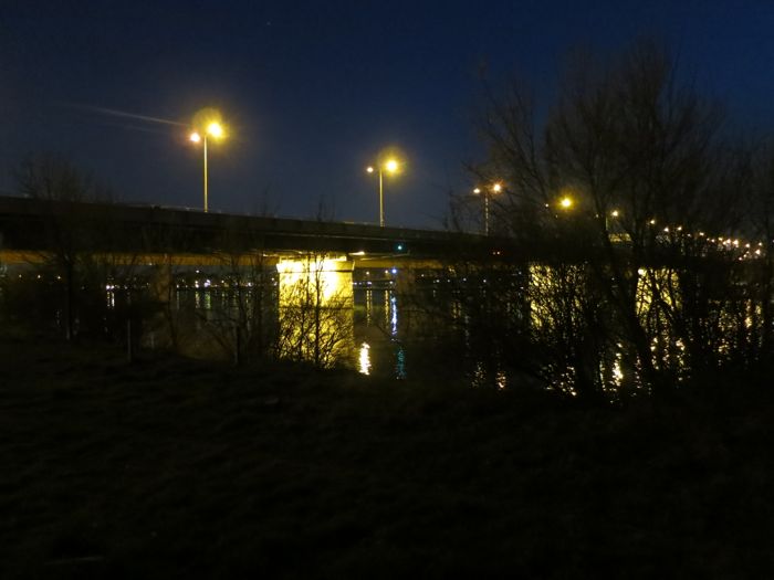 Donauinsel 7.jpg