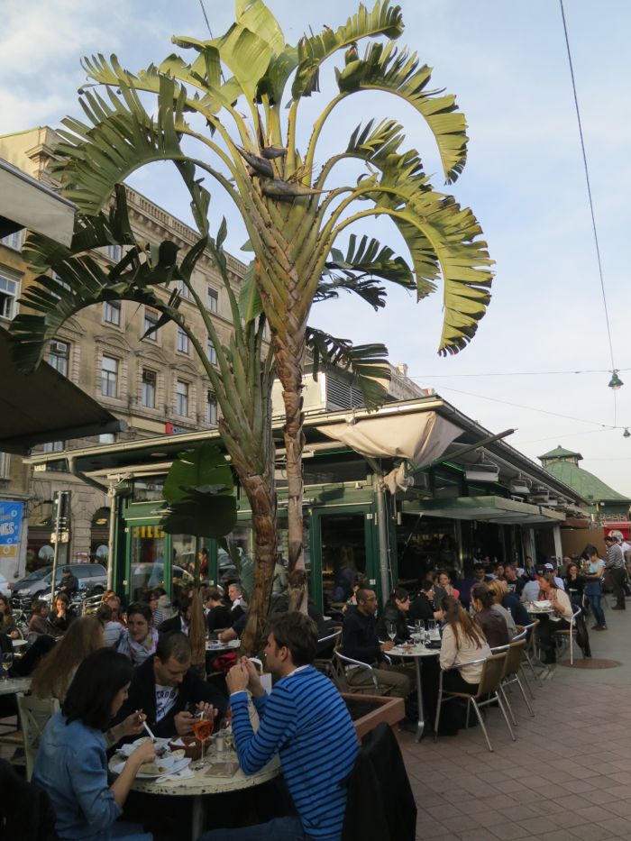 Naschmarkt cafe restaurant 1.jpg
