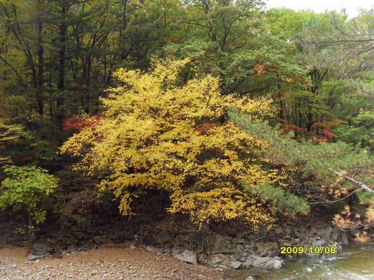SDC17829.JPG