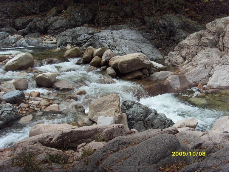 SDC17837.JPG