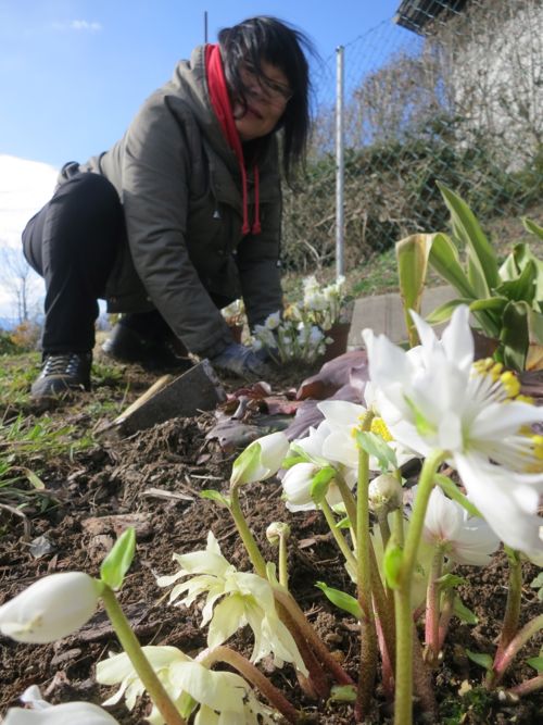 Gartenarbeit 2.jpg