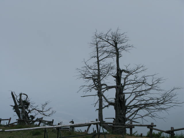 IMG_0742_1.JPG