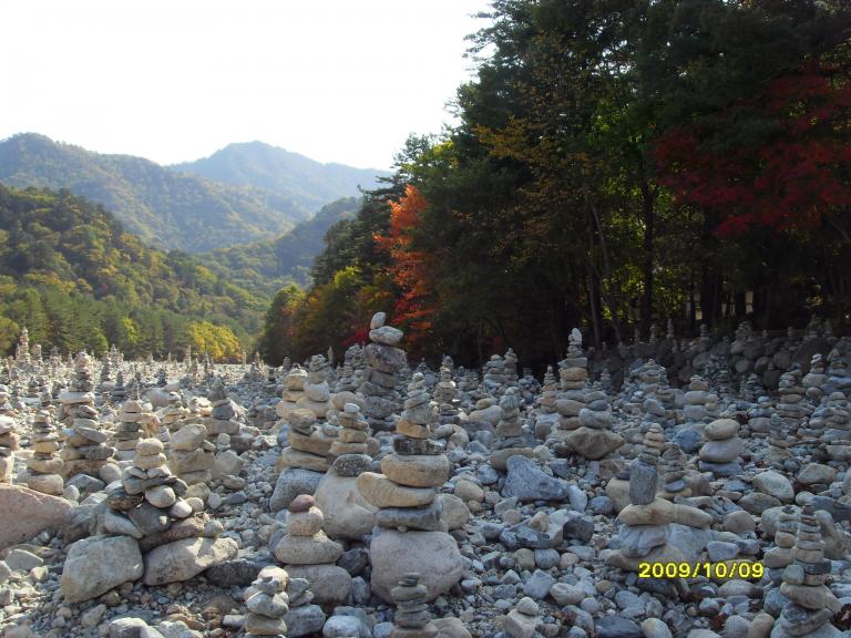 SDC17939.JPG