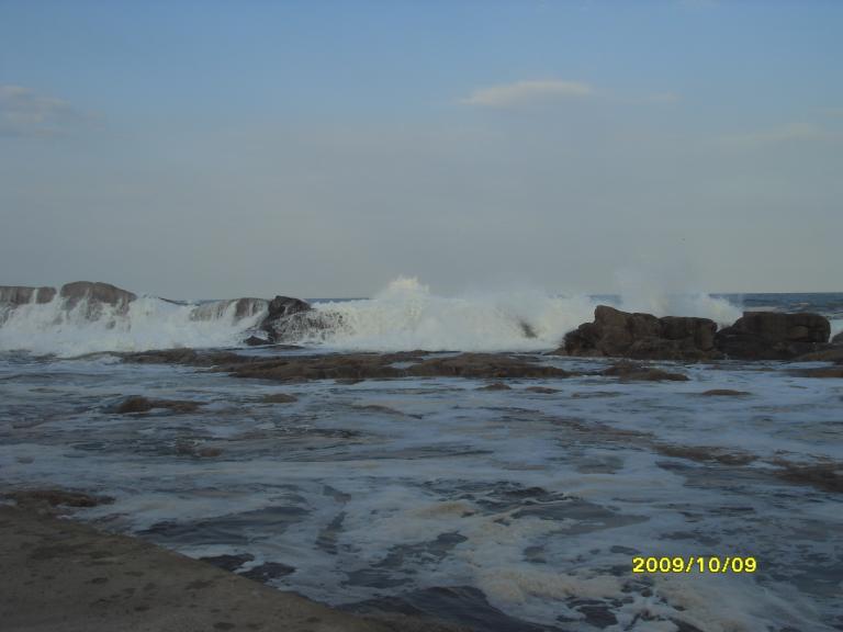 SDC17943.JPG