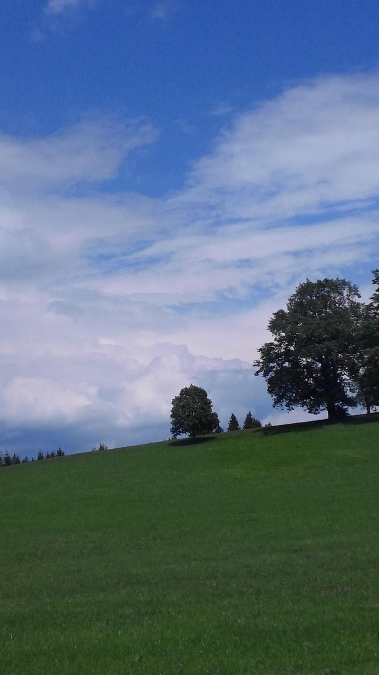 20140602_145100.jpg