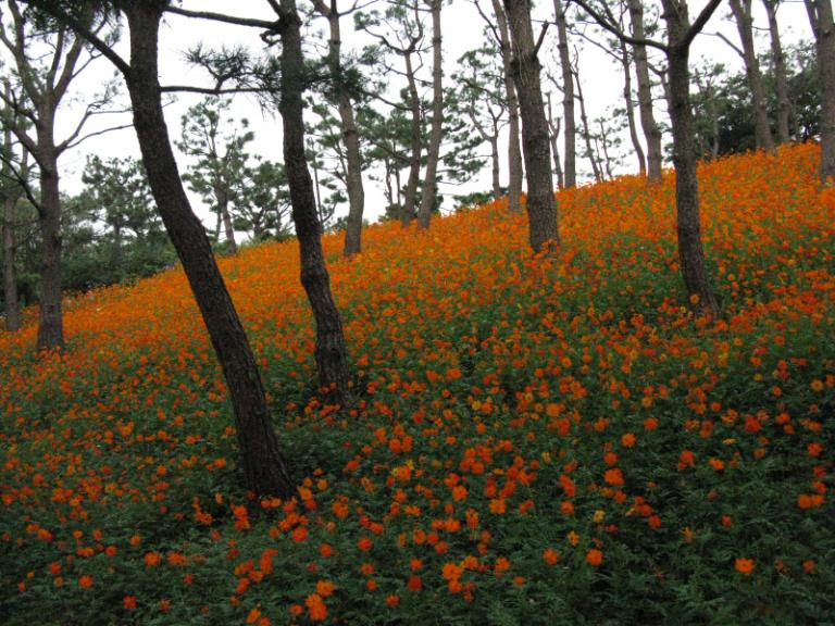 jeju_shinlahotelpark1.JPG