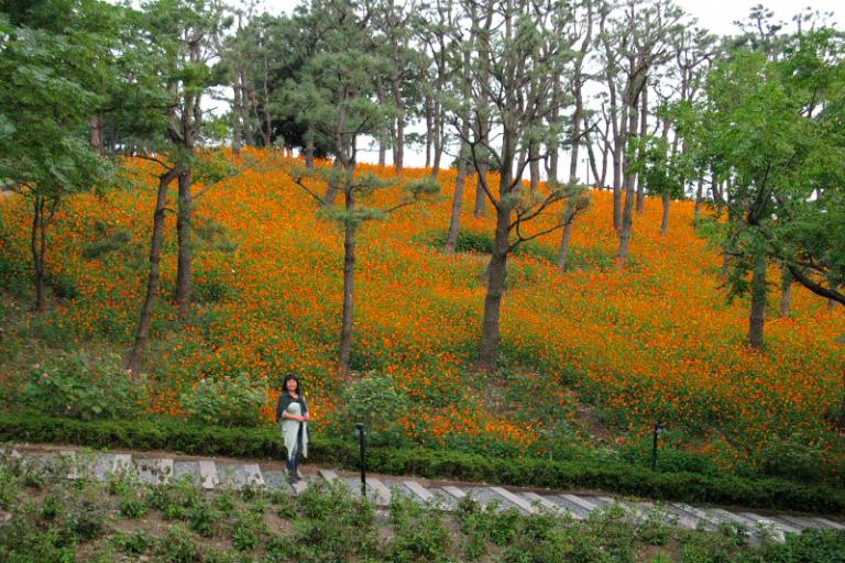 jeju_shinlahotelpark2.JPG