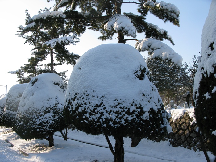 IMG_5877.JPG