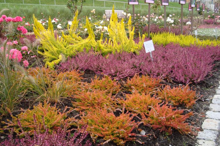 schwenningen gartenschau 2010 002.JPG