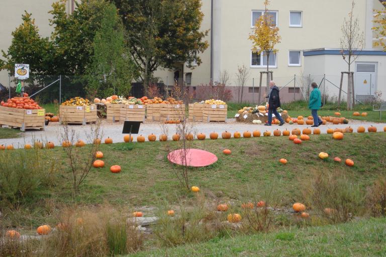 schwenningen gartenschau 2010 004.JPG