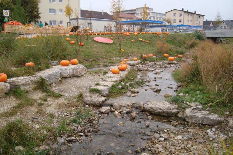schwenningen gartenschau 2010 005.JPG
