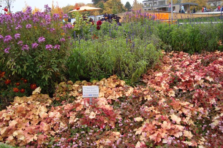 schwenningen gartenschau 2010 006.JPG