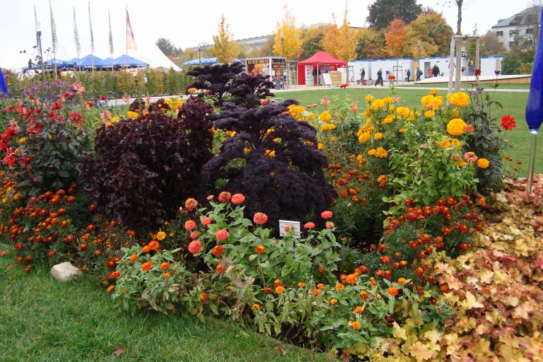 schwenningen gartenschau 2010 007.JPG