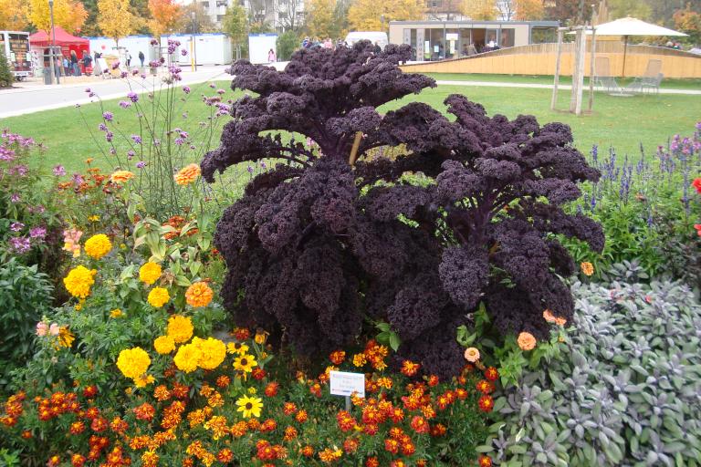 schwenningen gartenschau 2010 008.JPG