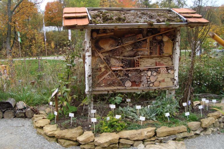 schwenningen gartenschau 2010 033.JPG