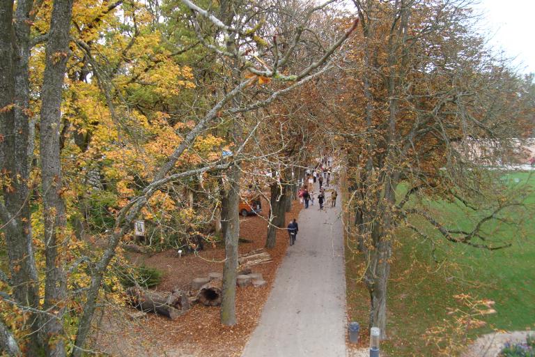 schwenningen gartenschau 2010 035.JPG