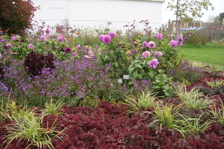 schwenningen gartenschau 2010 040.JPG