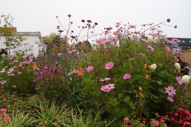 schwenningen gartenschau 2010 045.JPG