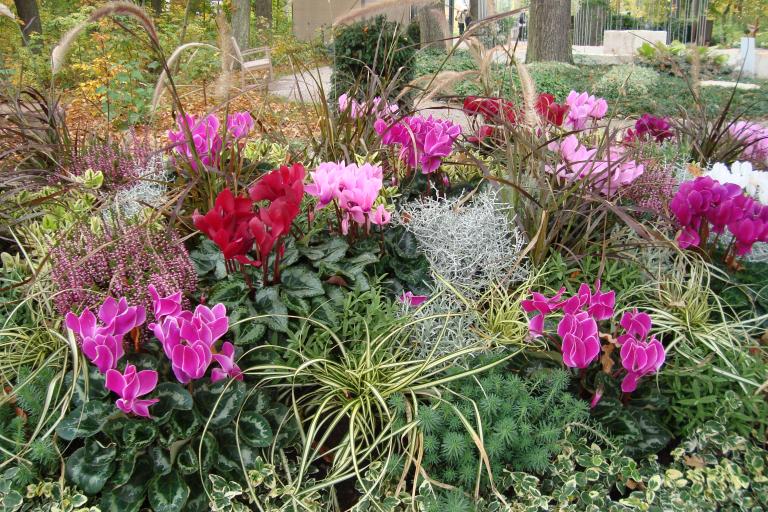 schwenningen gartenschau 2010 046.JPG