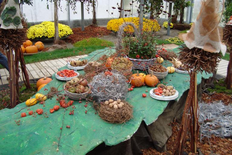 schwenningen gartenschau 2010 053.JPG