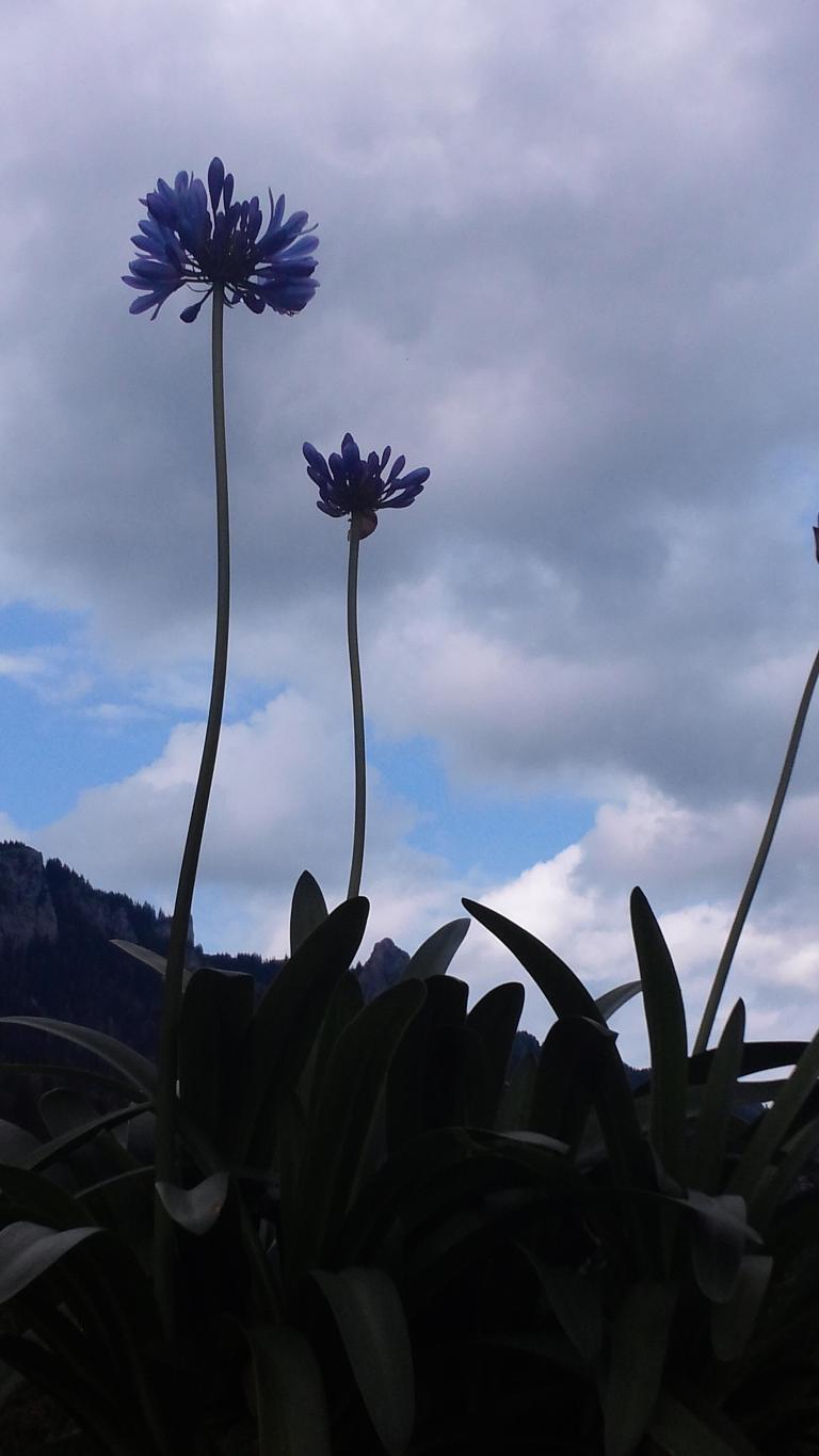 20140602_162352.jpg