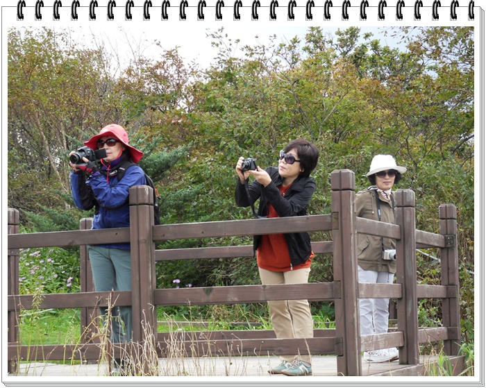 SDC10041.JPG