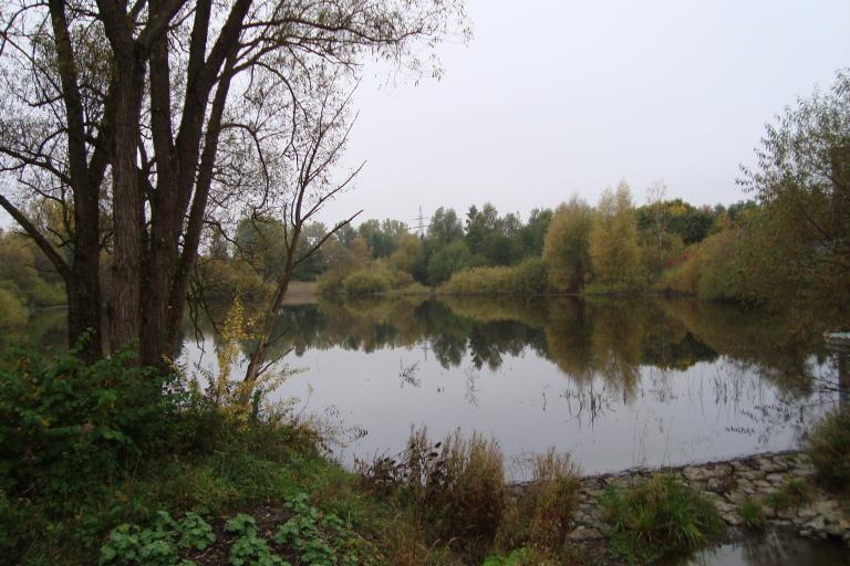 schwenningen gartenschau 2010 041.JPG