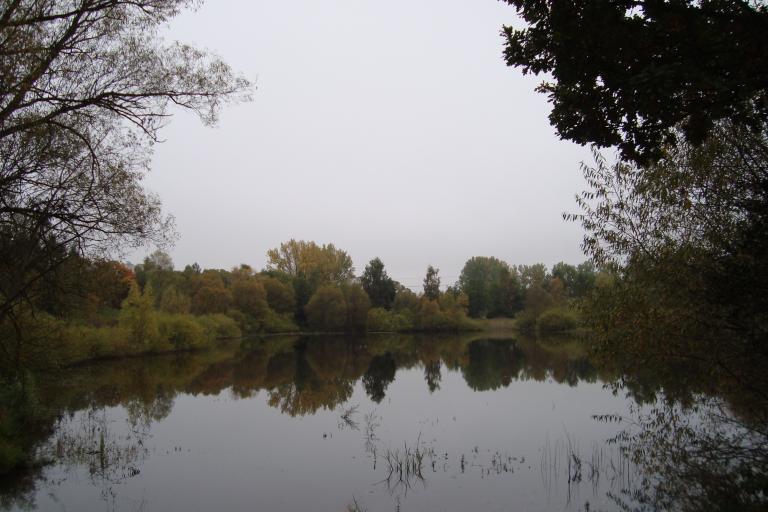 schwenningen gartenschau 2010 042.JPG