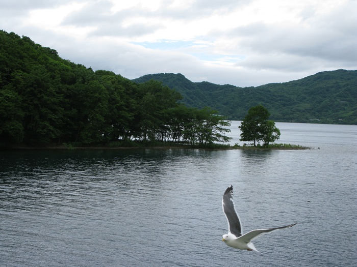 IMG_7332.JPG