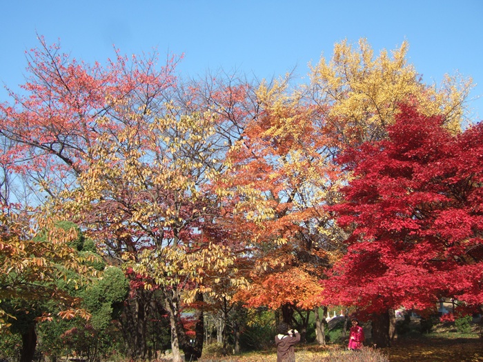 DSCF6215.JPG