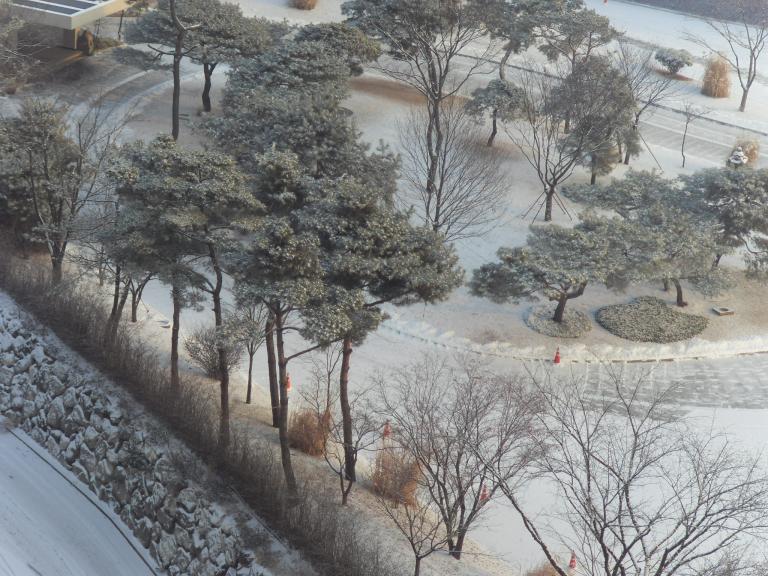 SDC16030.JPG