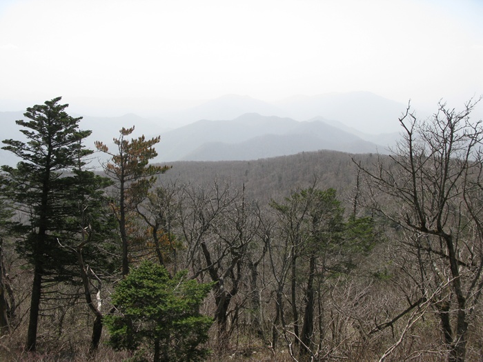 IMG_2555.JPG